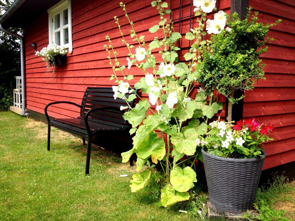 Ølholm Cottage Stege Rum bild