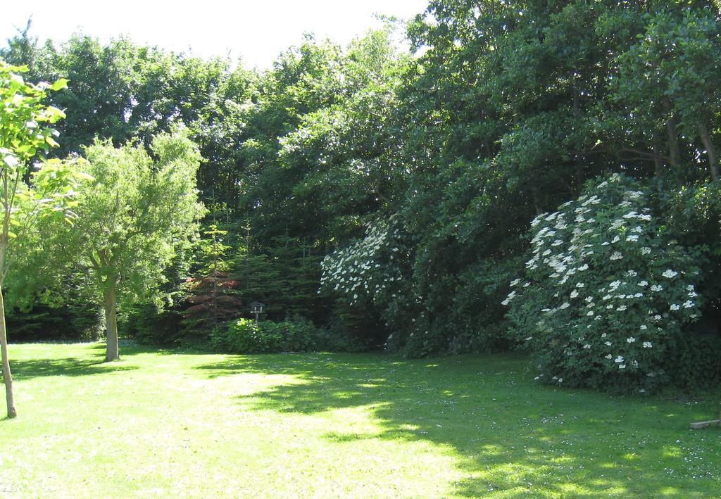 Ølholm Cottage Stege Rum bild